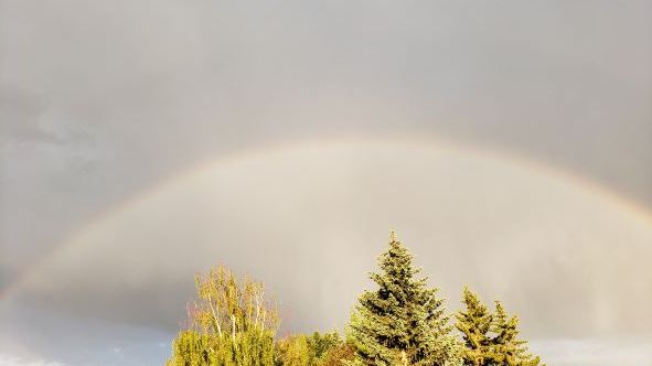 Terminated Health Sciences Student