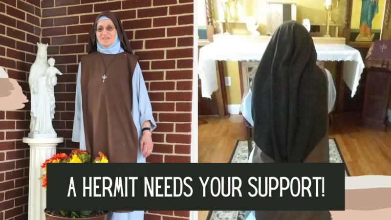 Featured Campaign Image: A hermit needs your support!