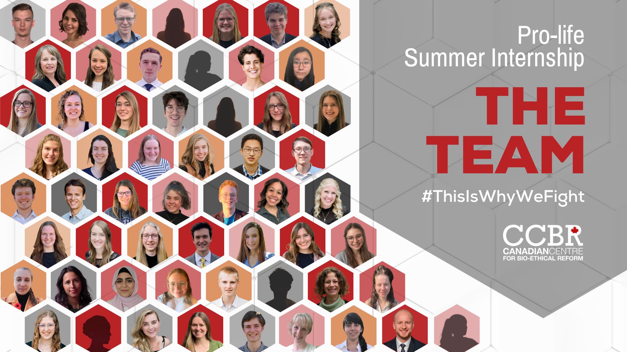 This Is Why We Fight