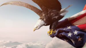  Campaign Image: Wings For Liberty and Justice