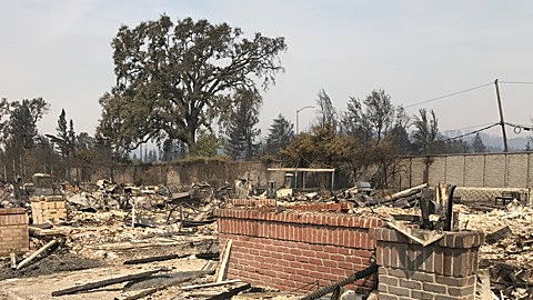 Campaign create for check emails