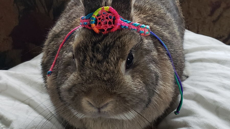 Ending the carbon footprint