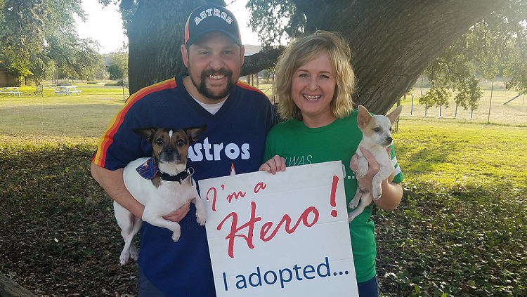 Strike Out Pet Homelessness