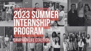  Campaign Image: Support Our 2023 Summer Internship Program