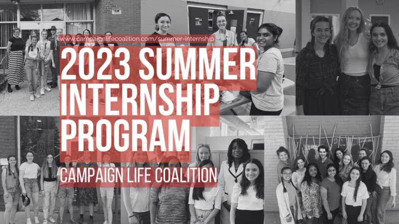 Featured Campaign Image: Support Our 2023 Summer Internship Program
